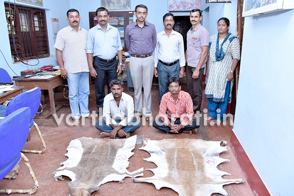 ಅರಣ್ಯ ಆಧಿಕಾರಿಗಳ ದಾಳಿ : ಕೃಷ್ಣ ಮೃಗದ ಚರ್ಮ ವಶ